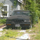 Illustration for article titled How do I save a special car from an evil, neglectful owner?